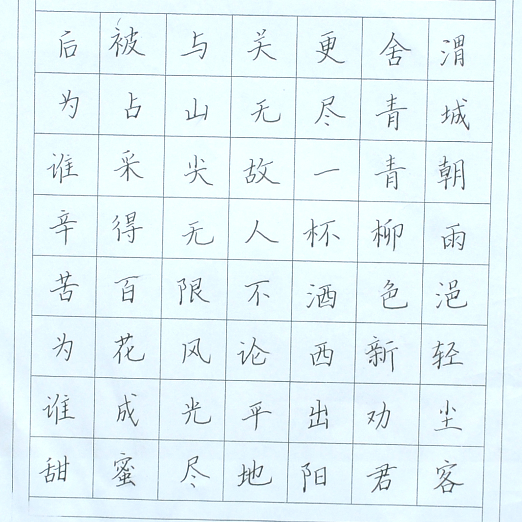 姓名：苗雨彤