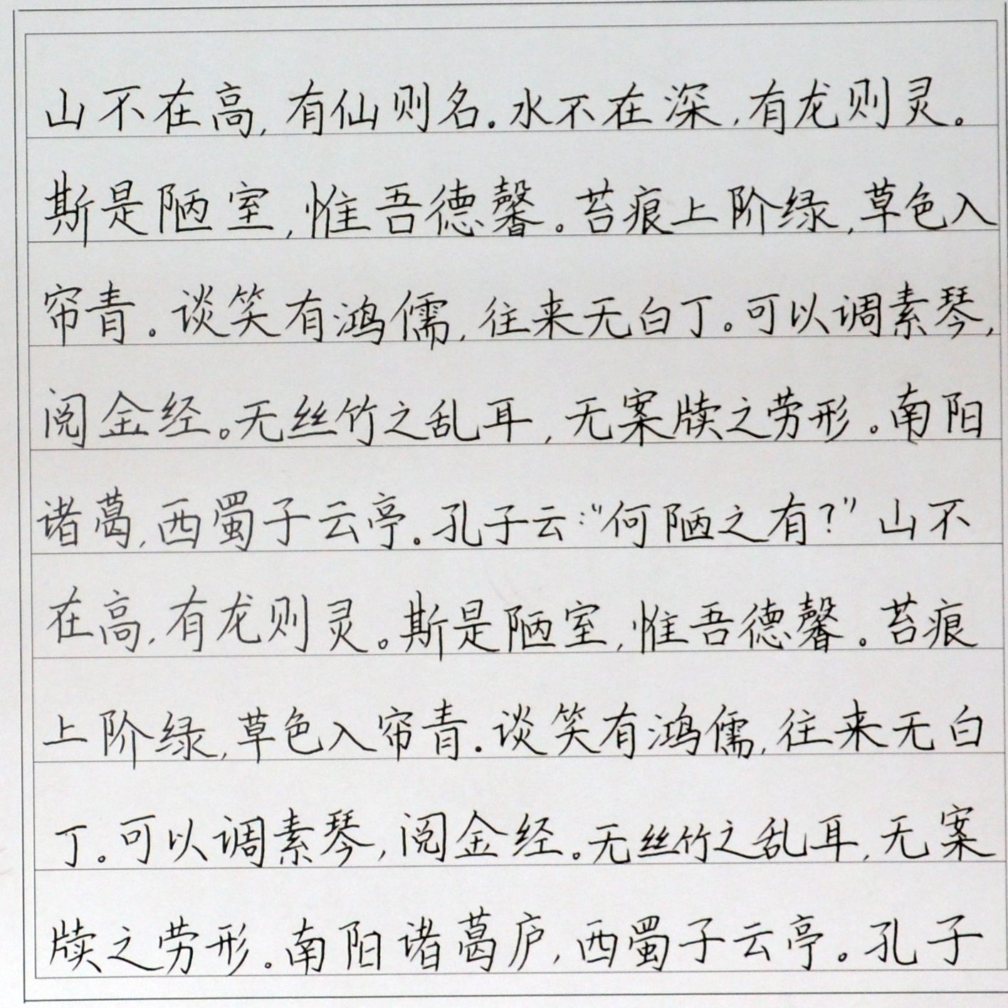 姓名：杨康宁