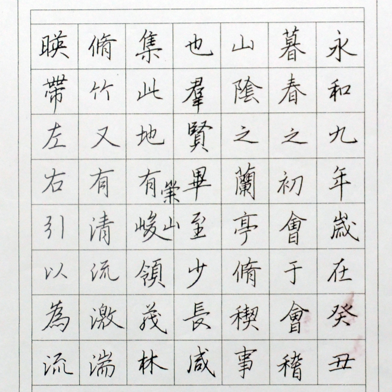 姓名：薛莉