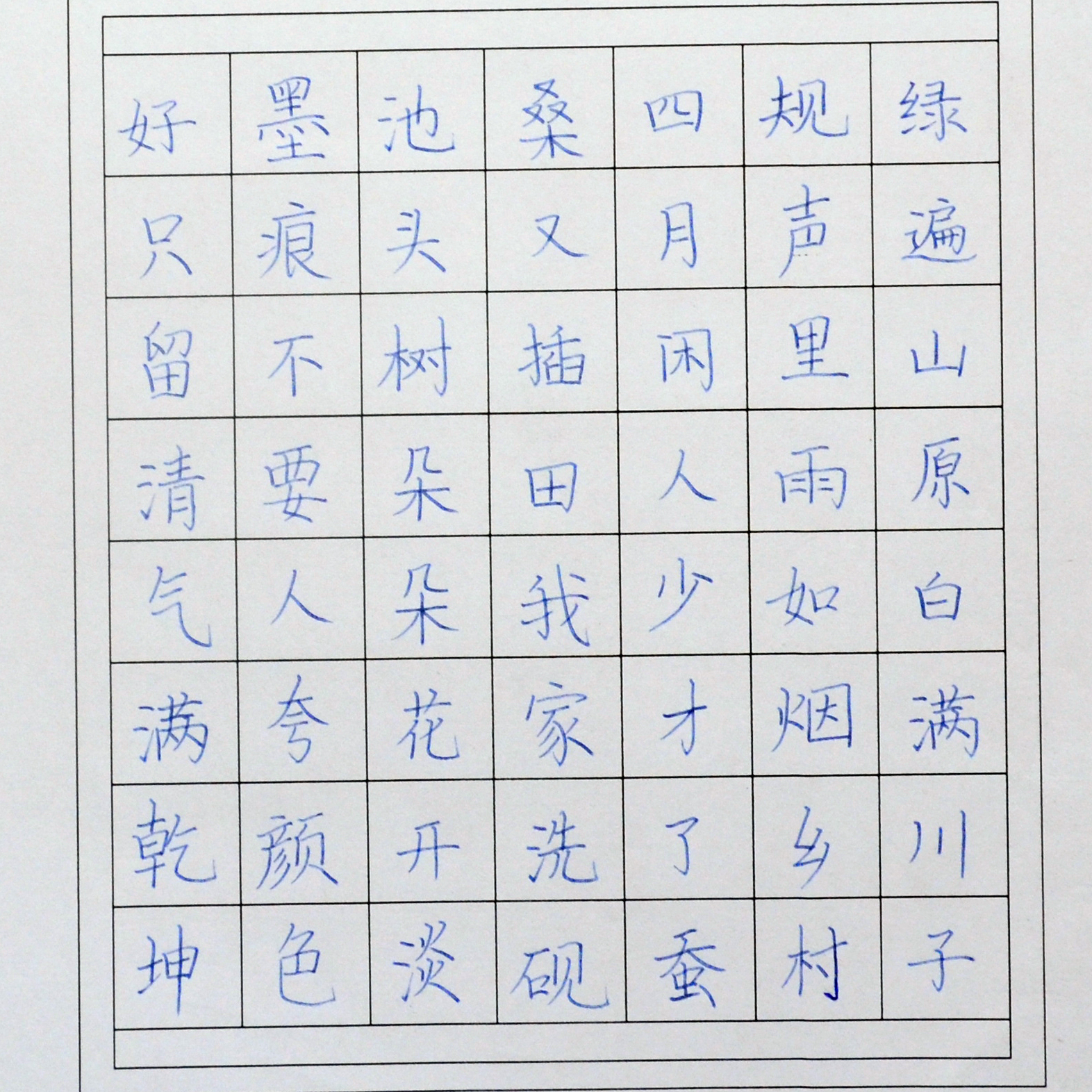 姓名：张芷瑄