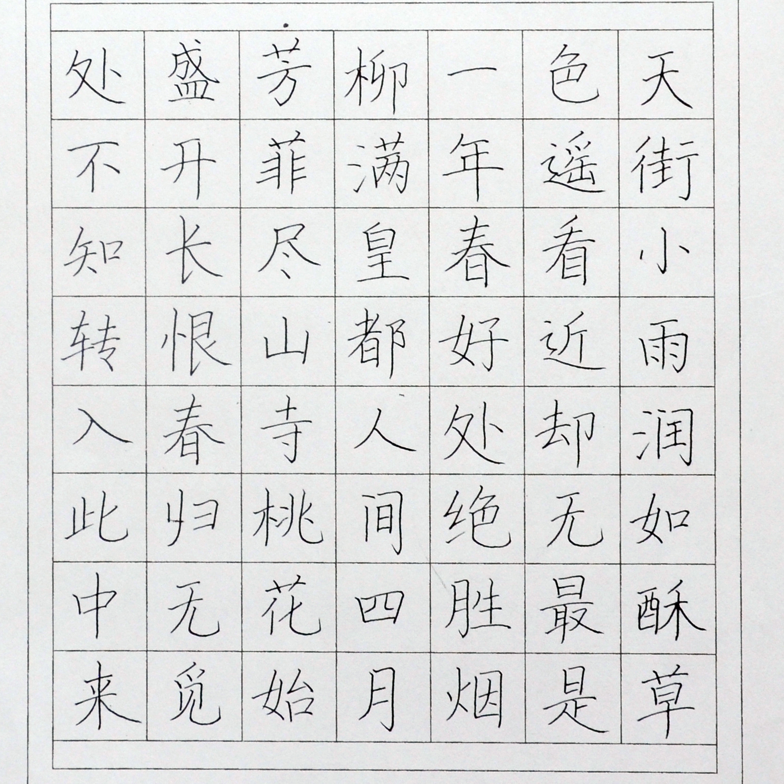 姓名：郭芯宇