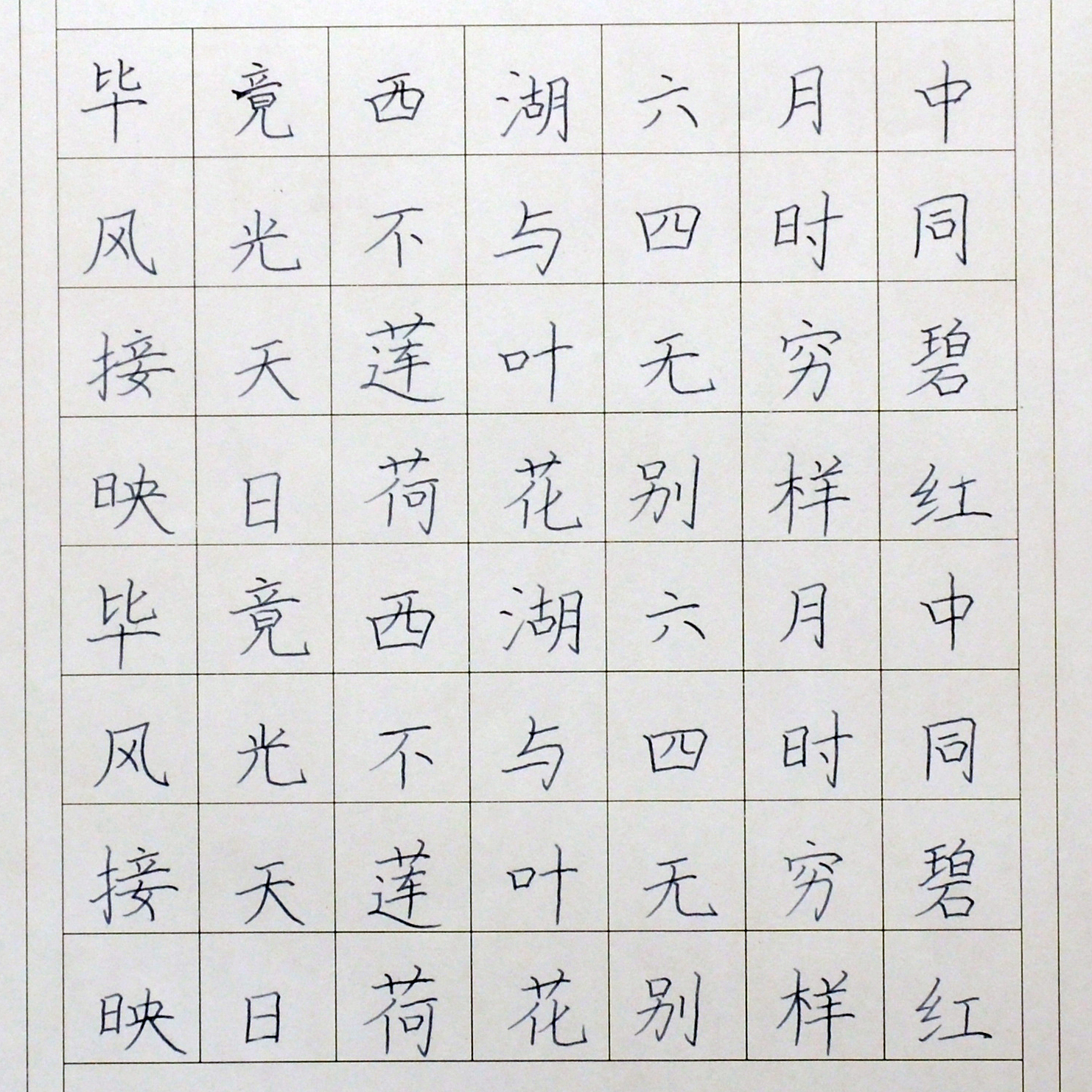 姓名：薛冬青