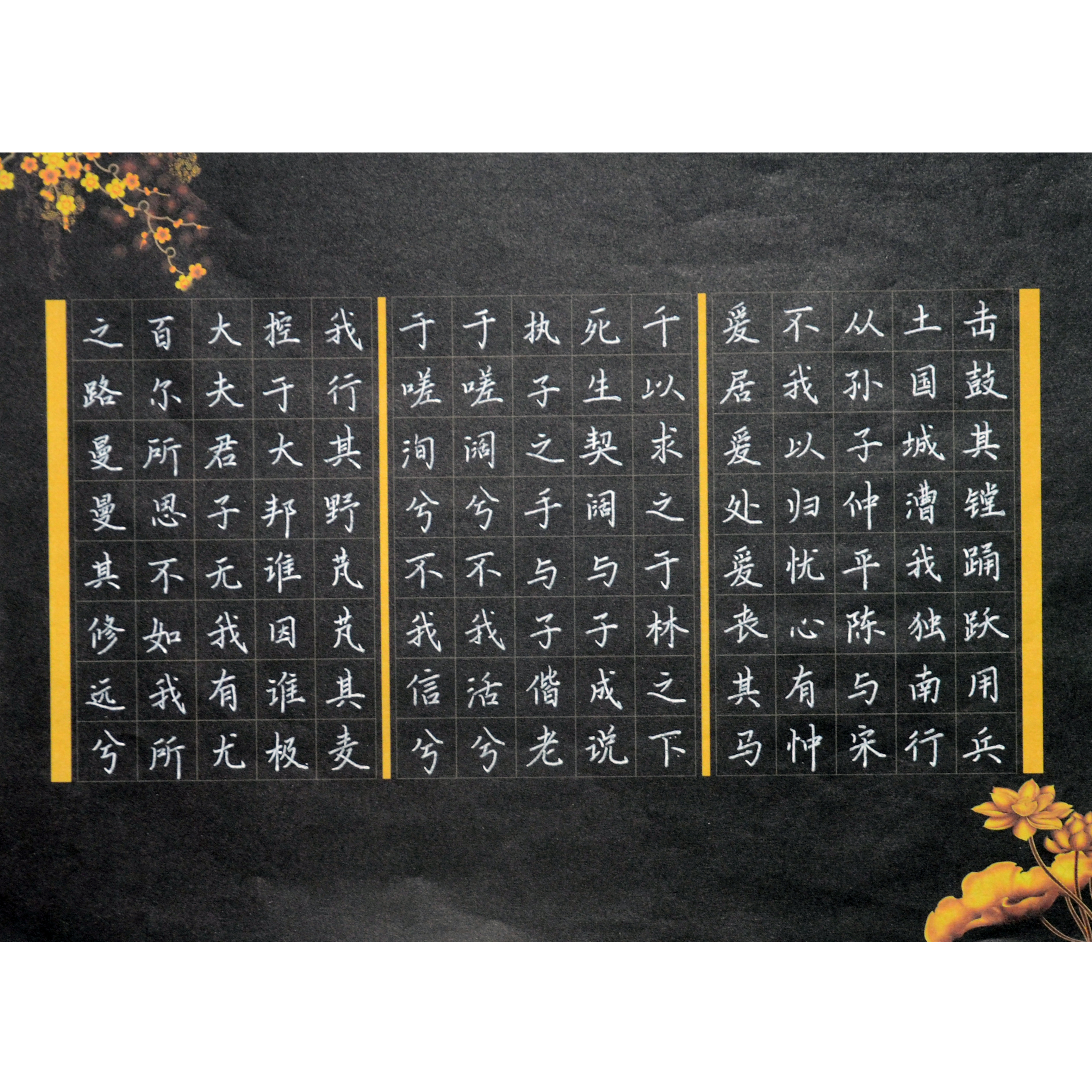 姓名：李佳霖