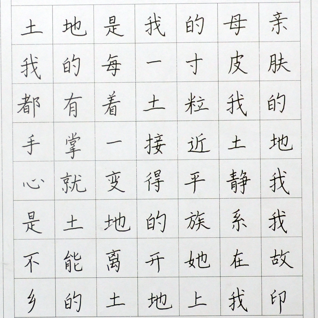 姓名：王晰