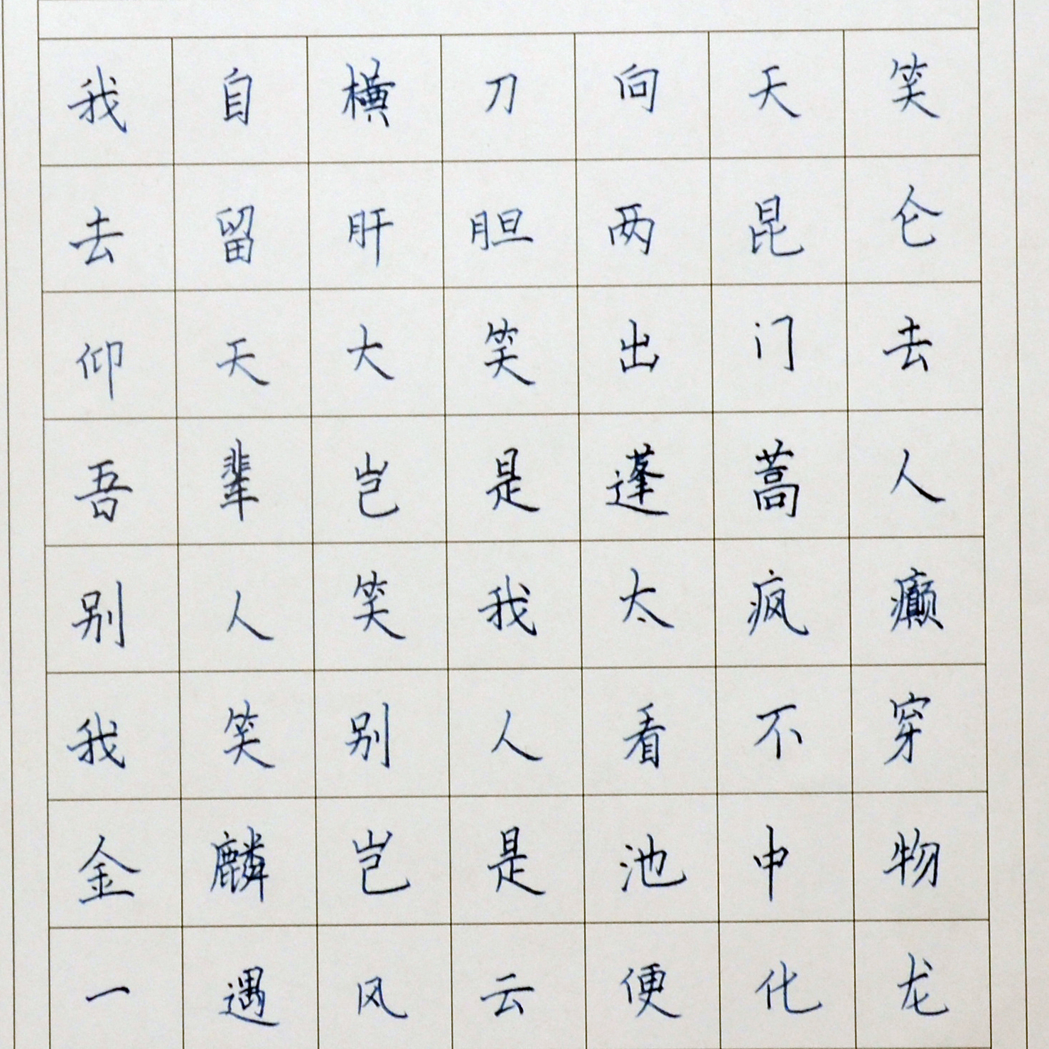 姓名：陈肖阳