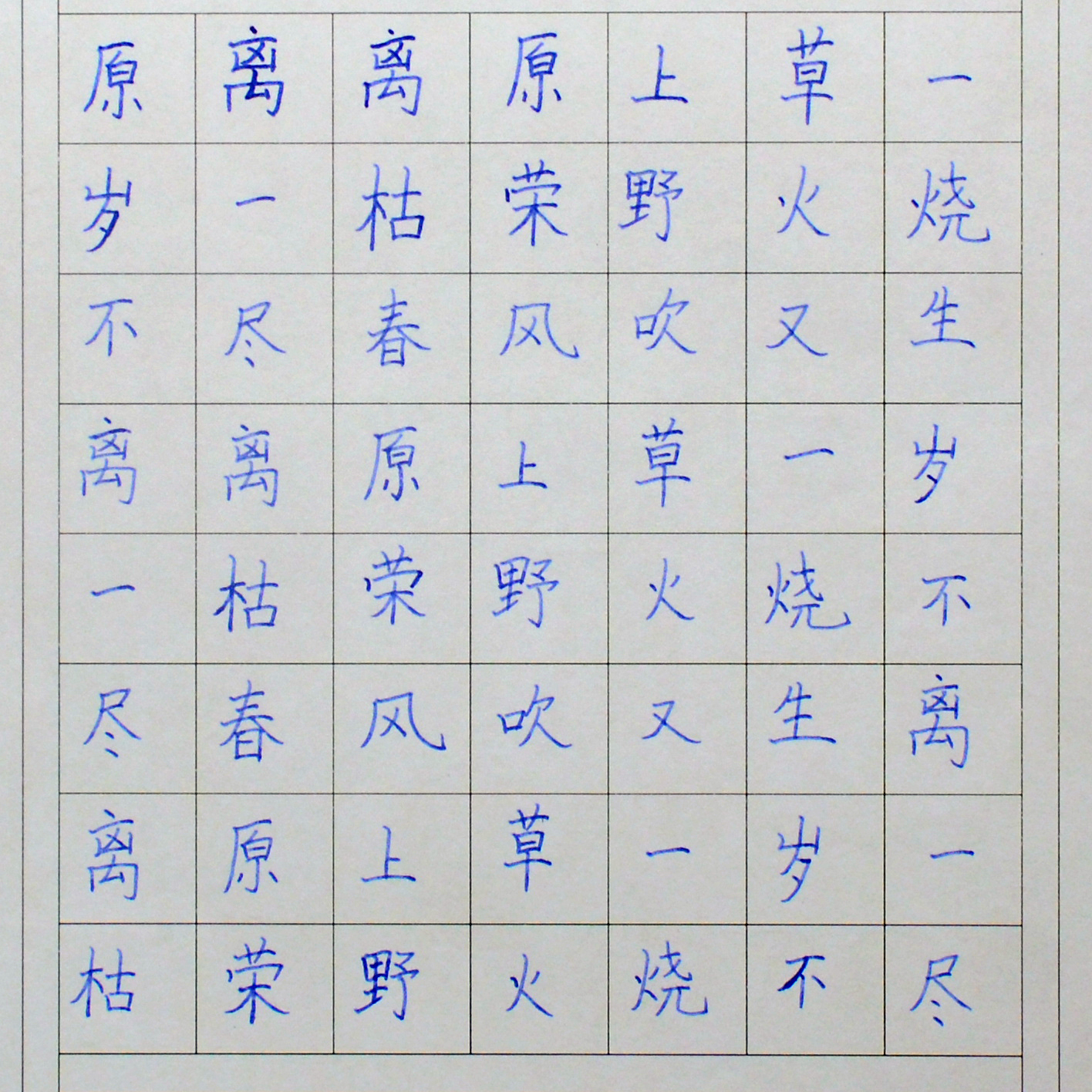 姓名：许舒涵