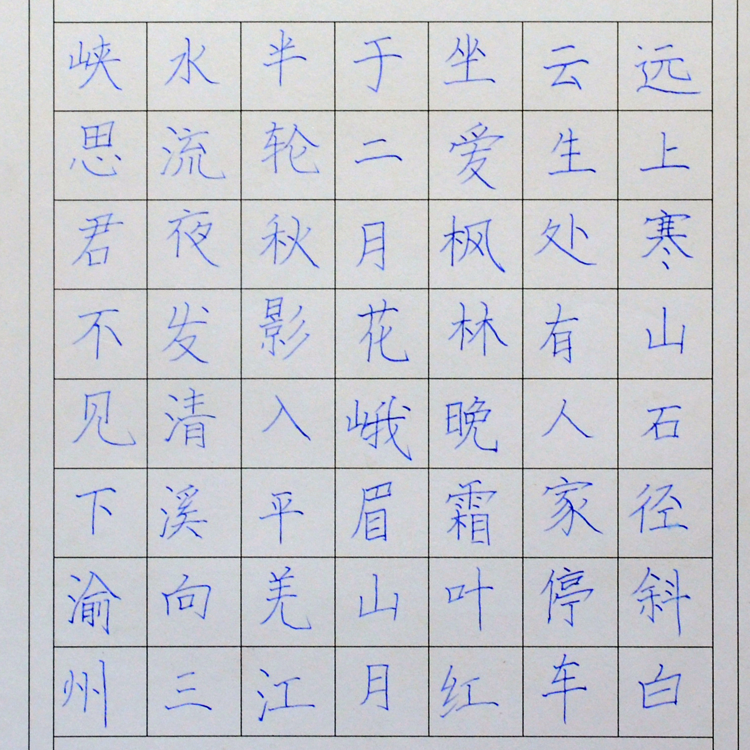 姓名：董佳美