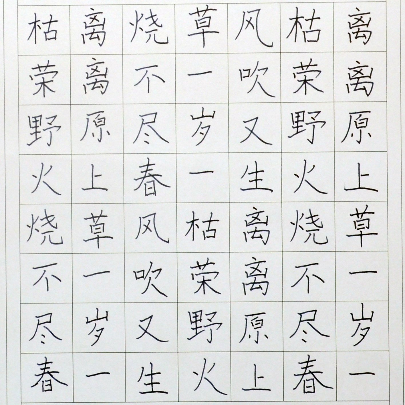 姓名：陈楷文