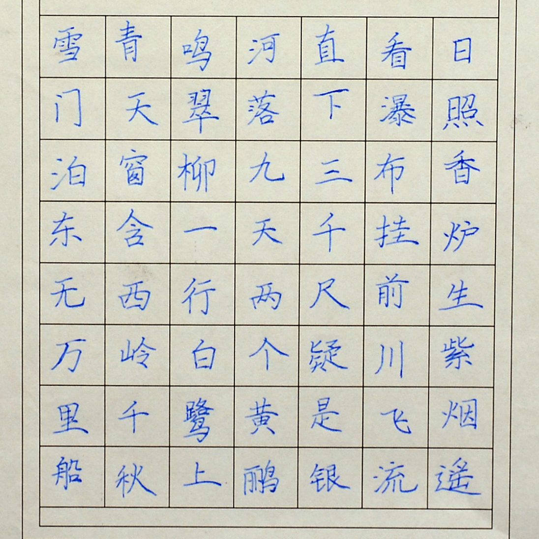 姓名：王姿雨
