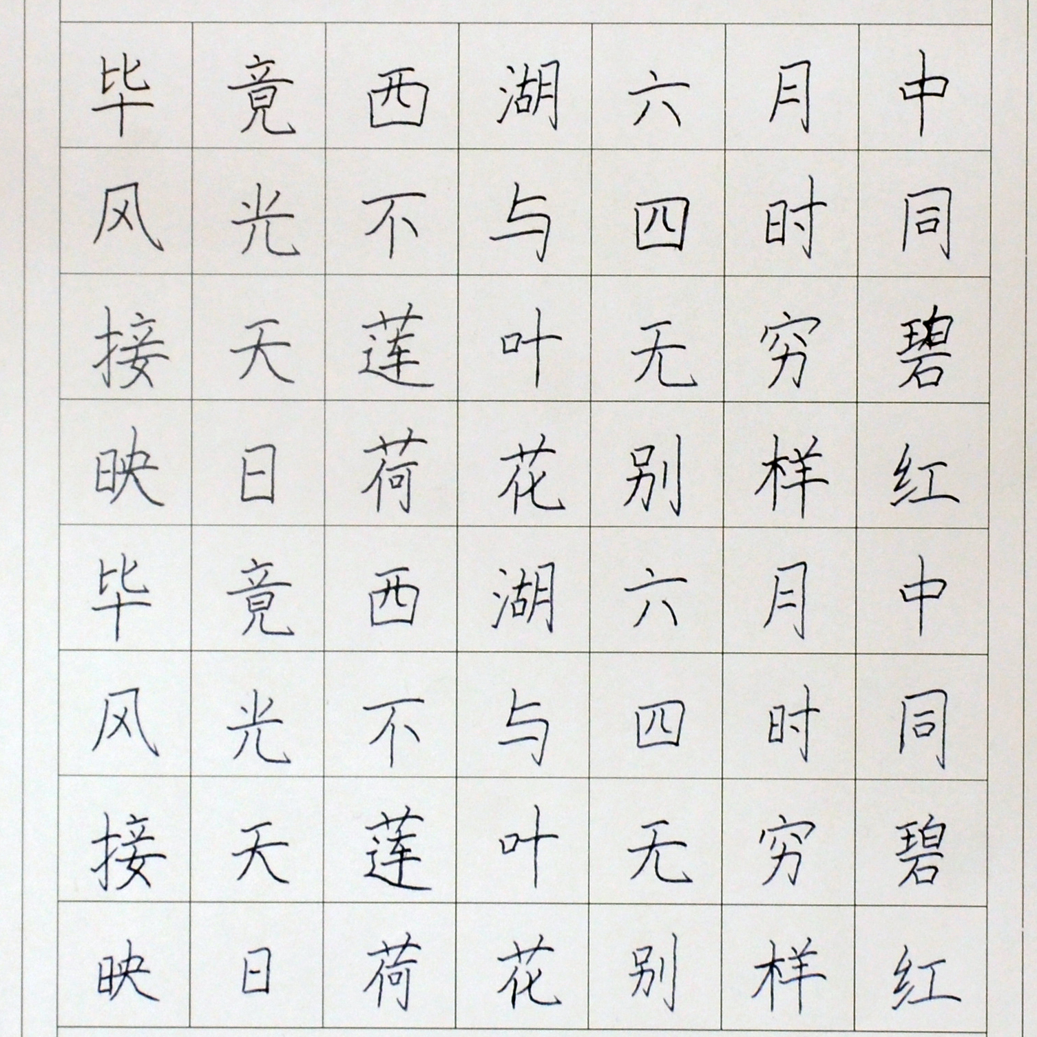 姓名：刘欣梦