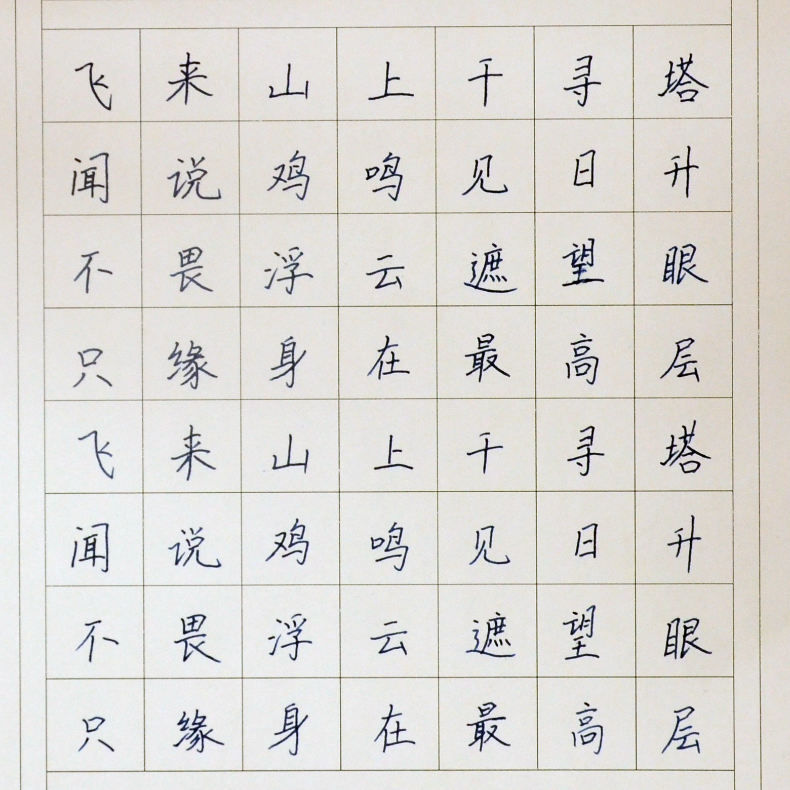 姓名：王新冉