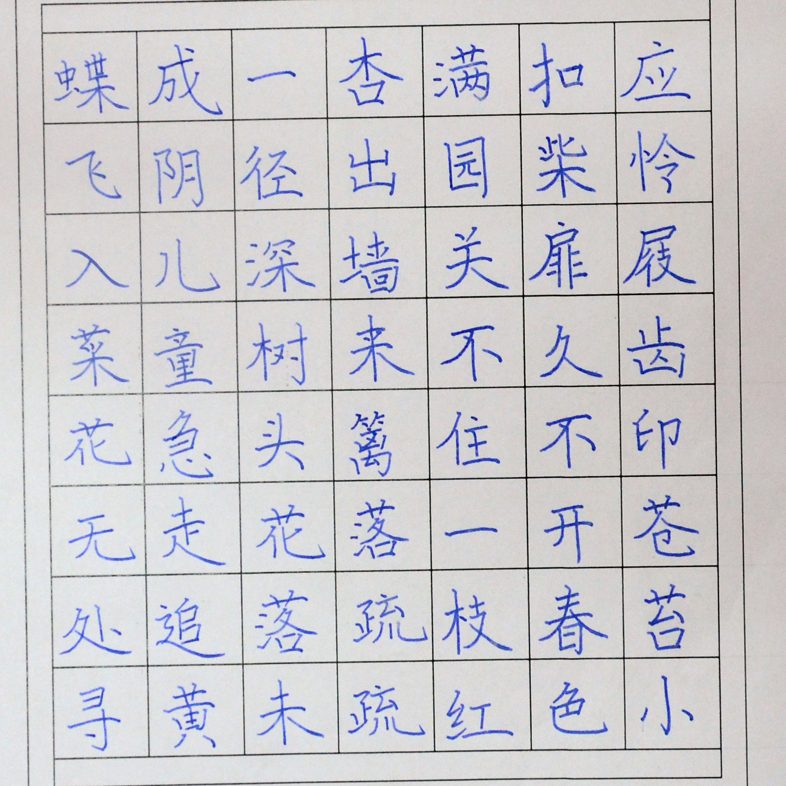 姓名：孙妍