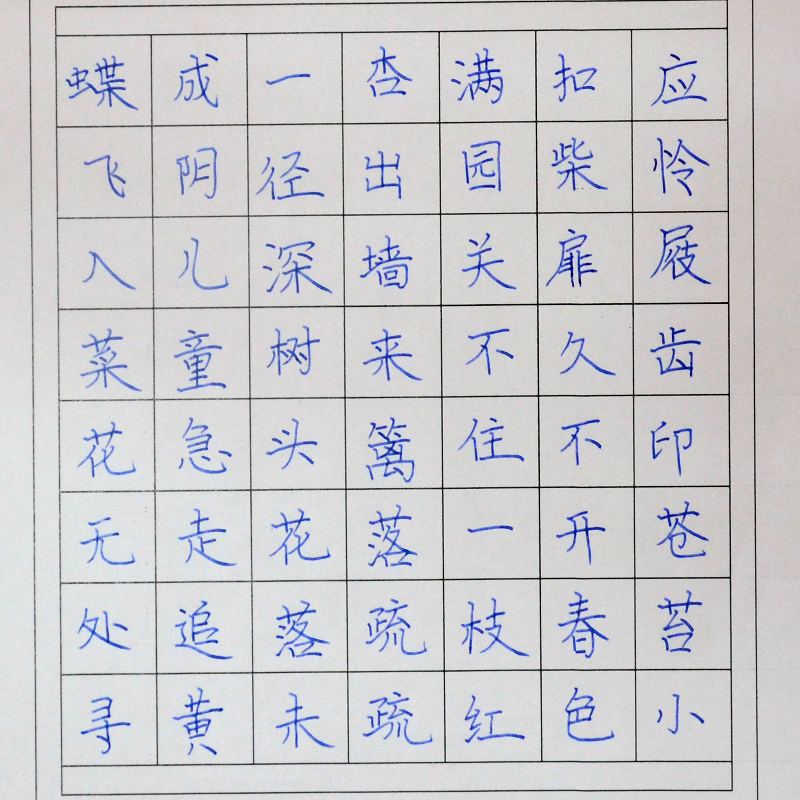 姓名：杨子钰