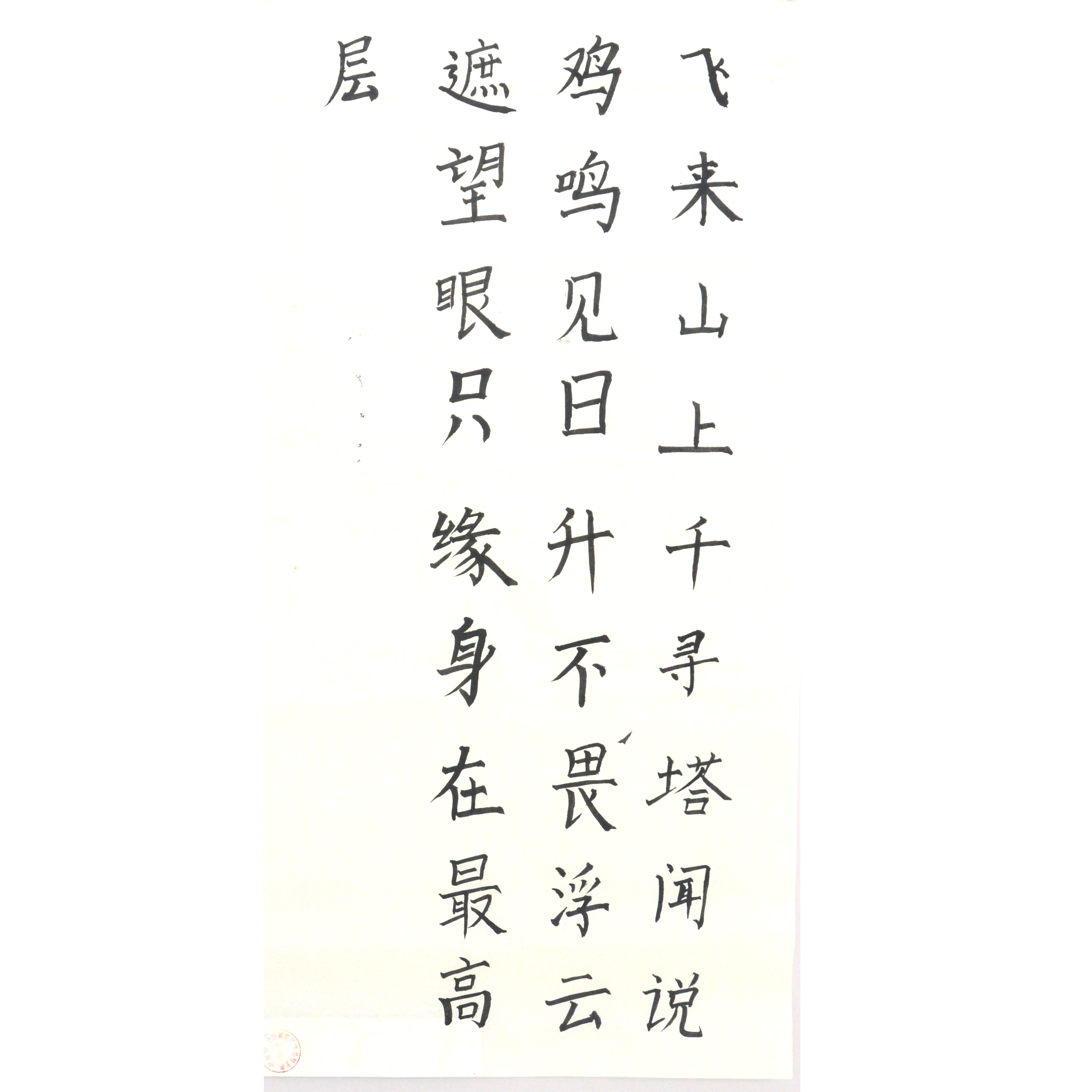 姓名：许馨文