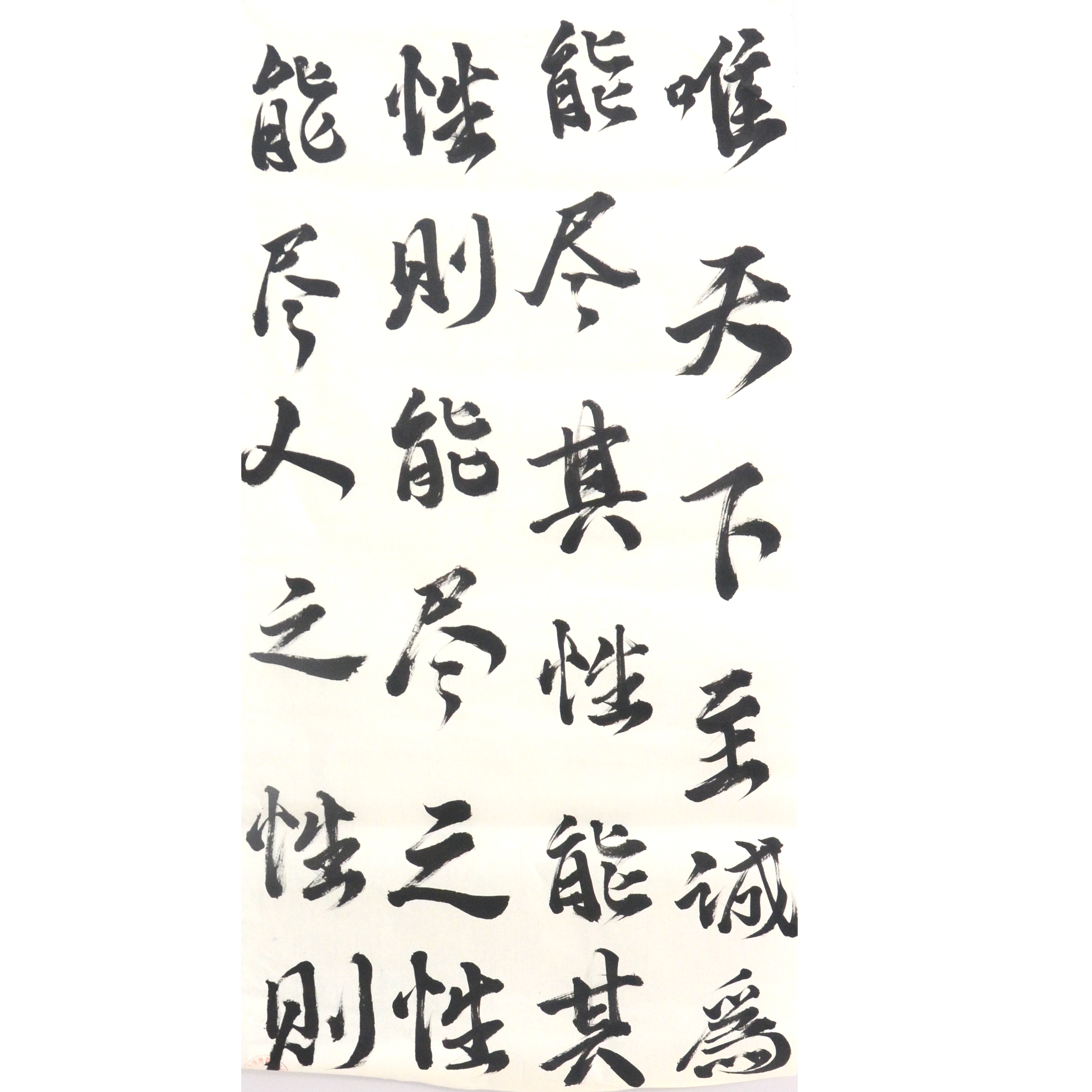 姓名：刘子嘉
