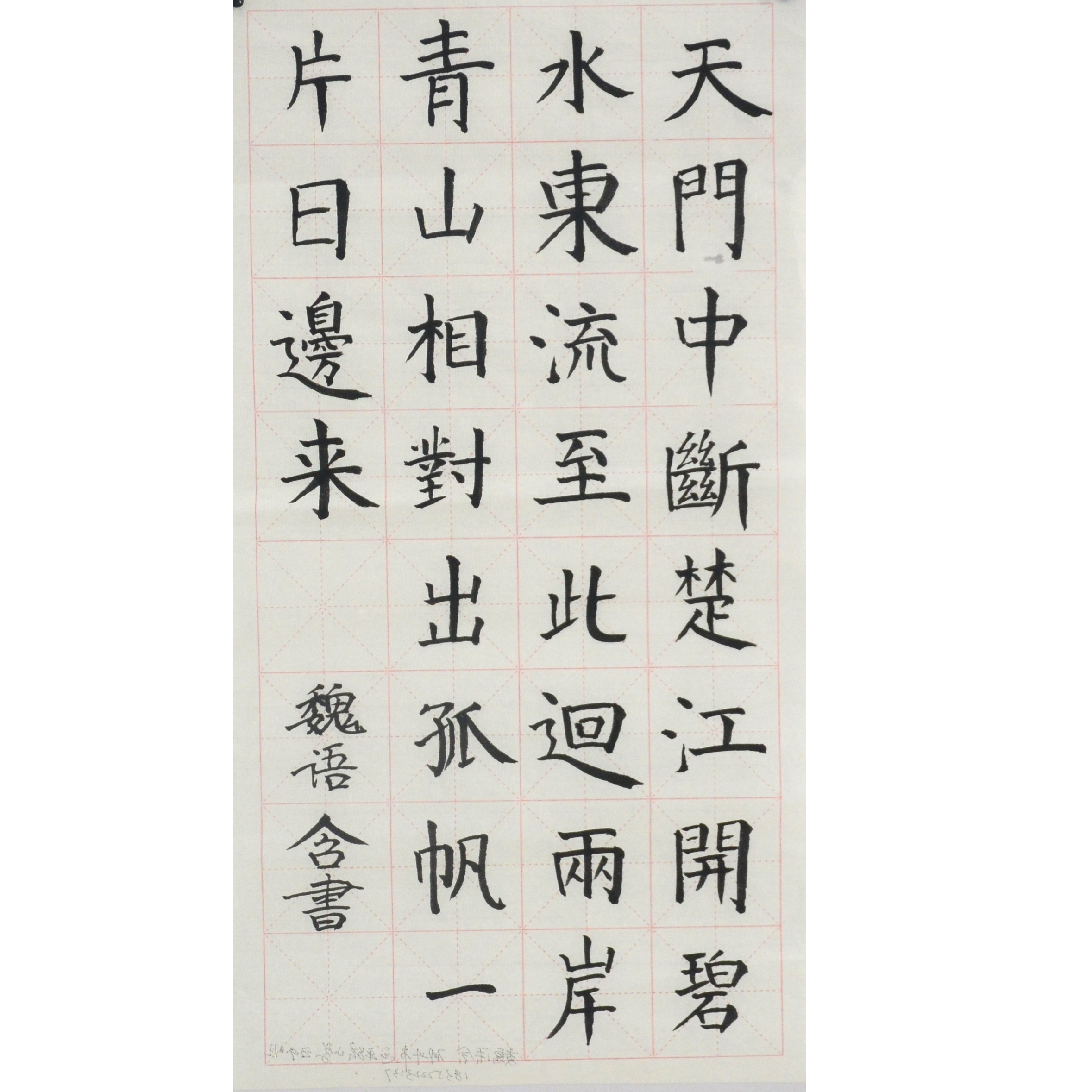 姓名：魏语含