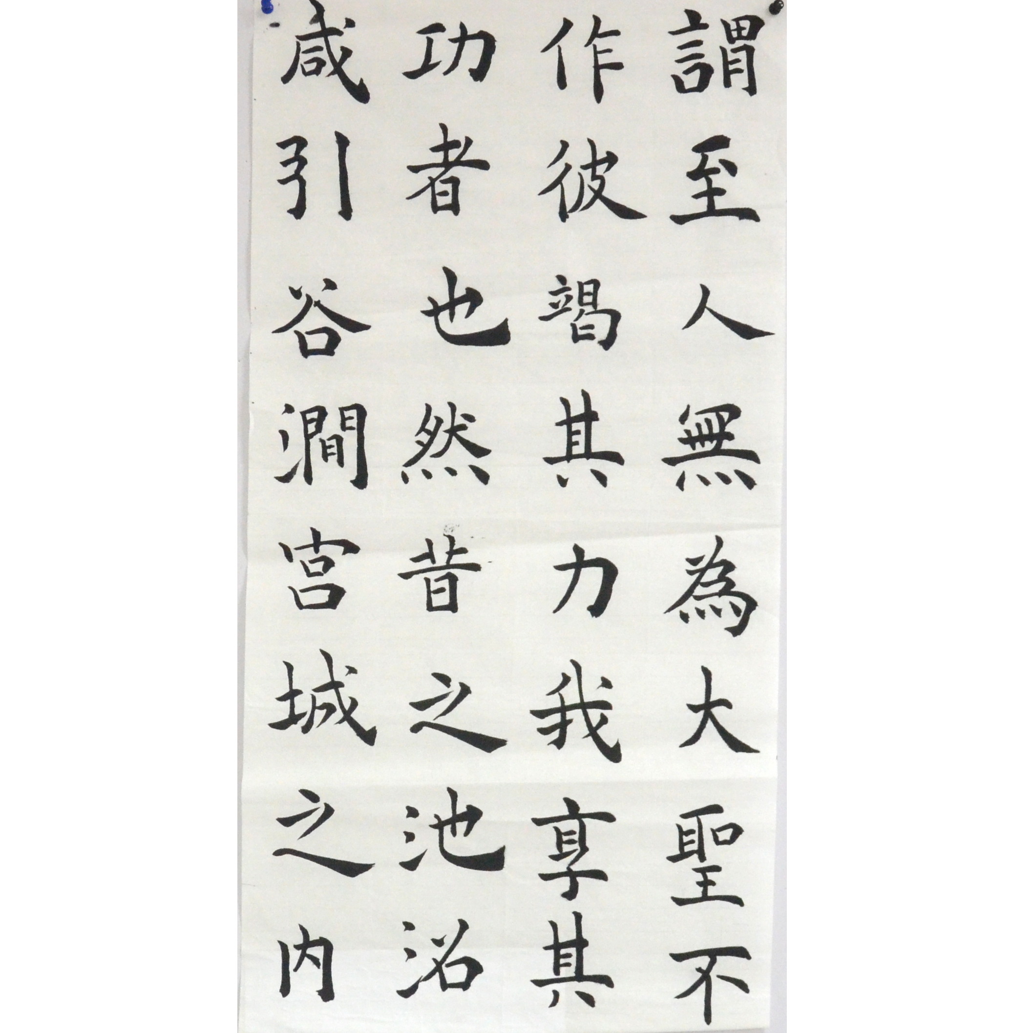 姓名：王雯雯
