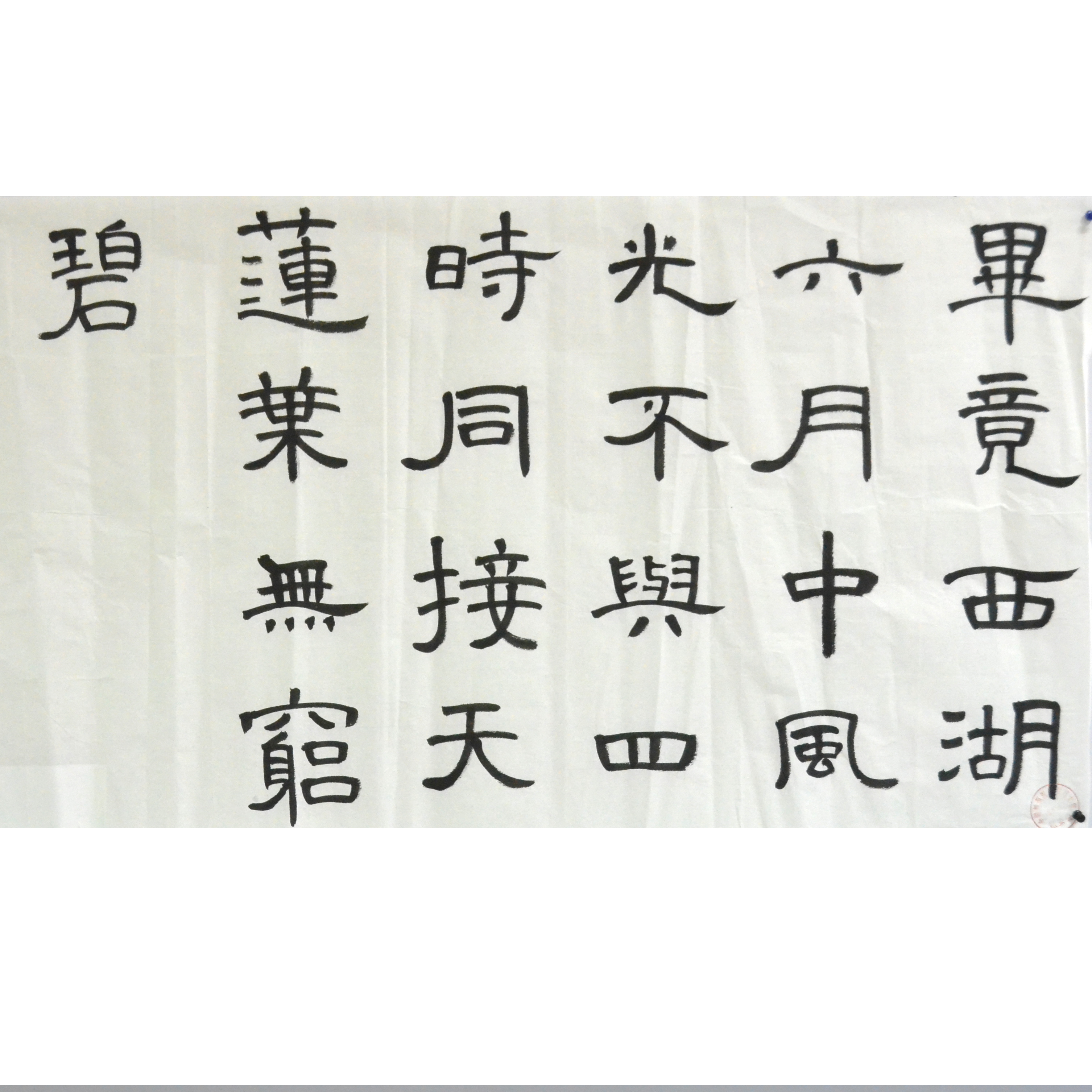 姓名：成禹瑶