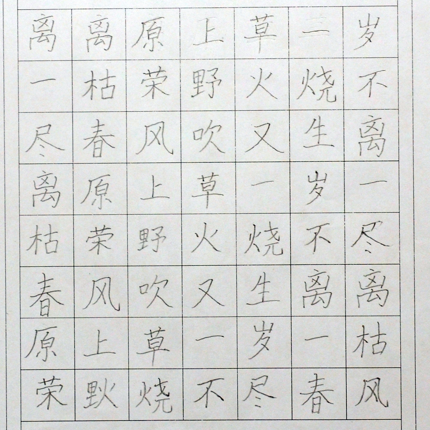 姓名：孙嘉治
