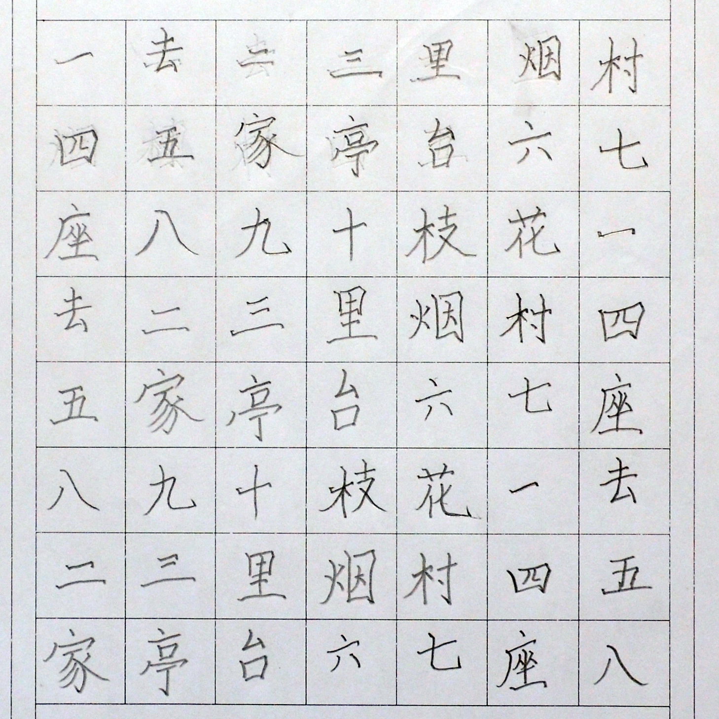 姓名：杨怡梵