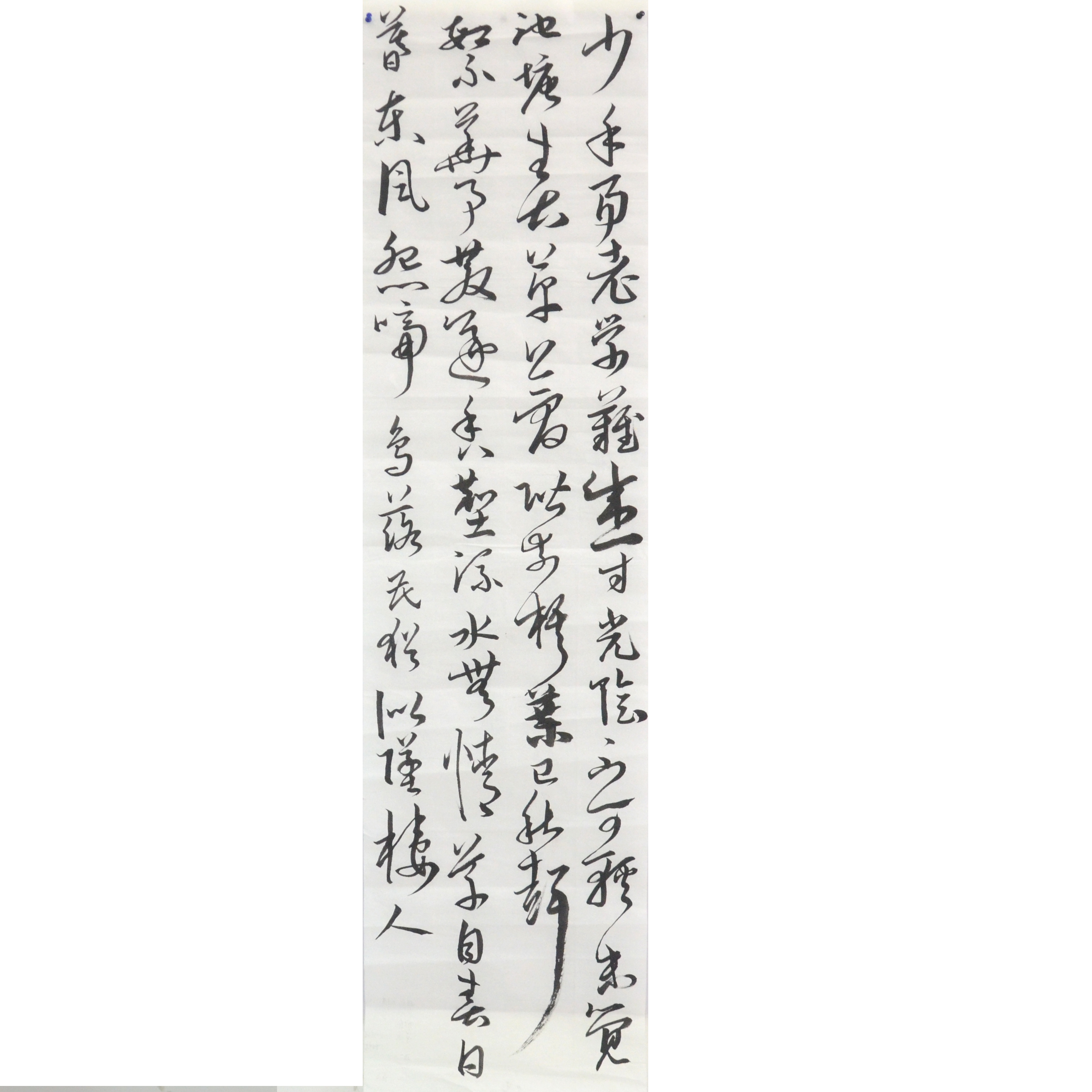 姓名：王博
