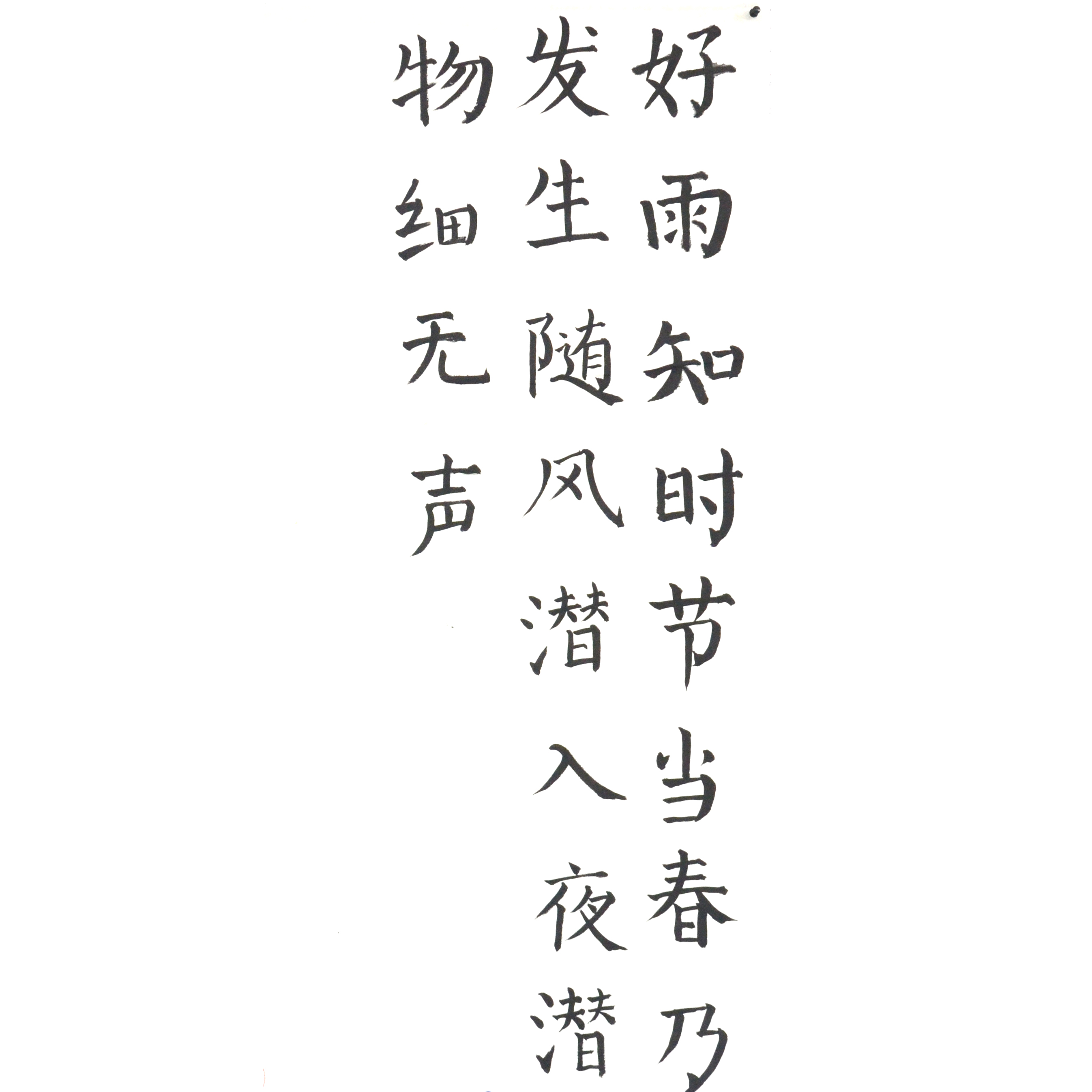 姓名：郑智远