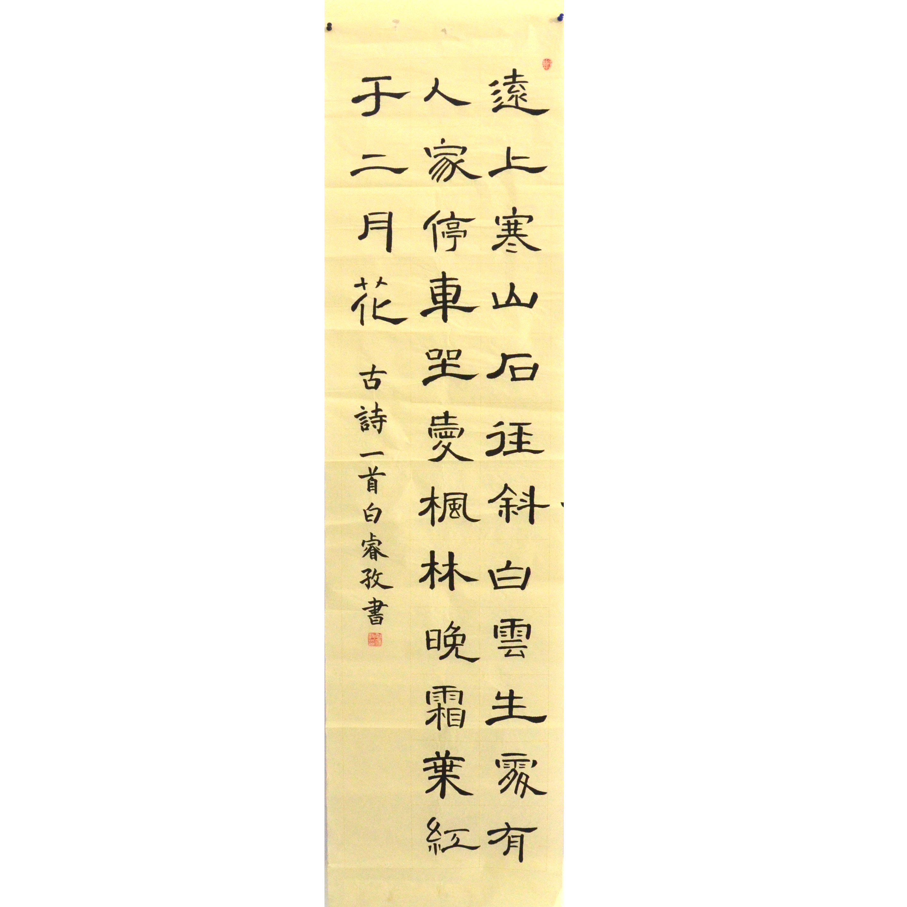 姓名：白睿孜