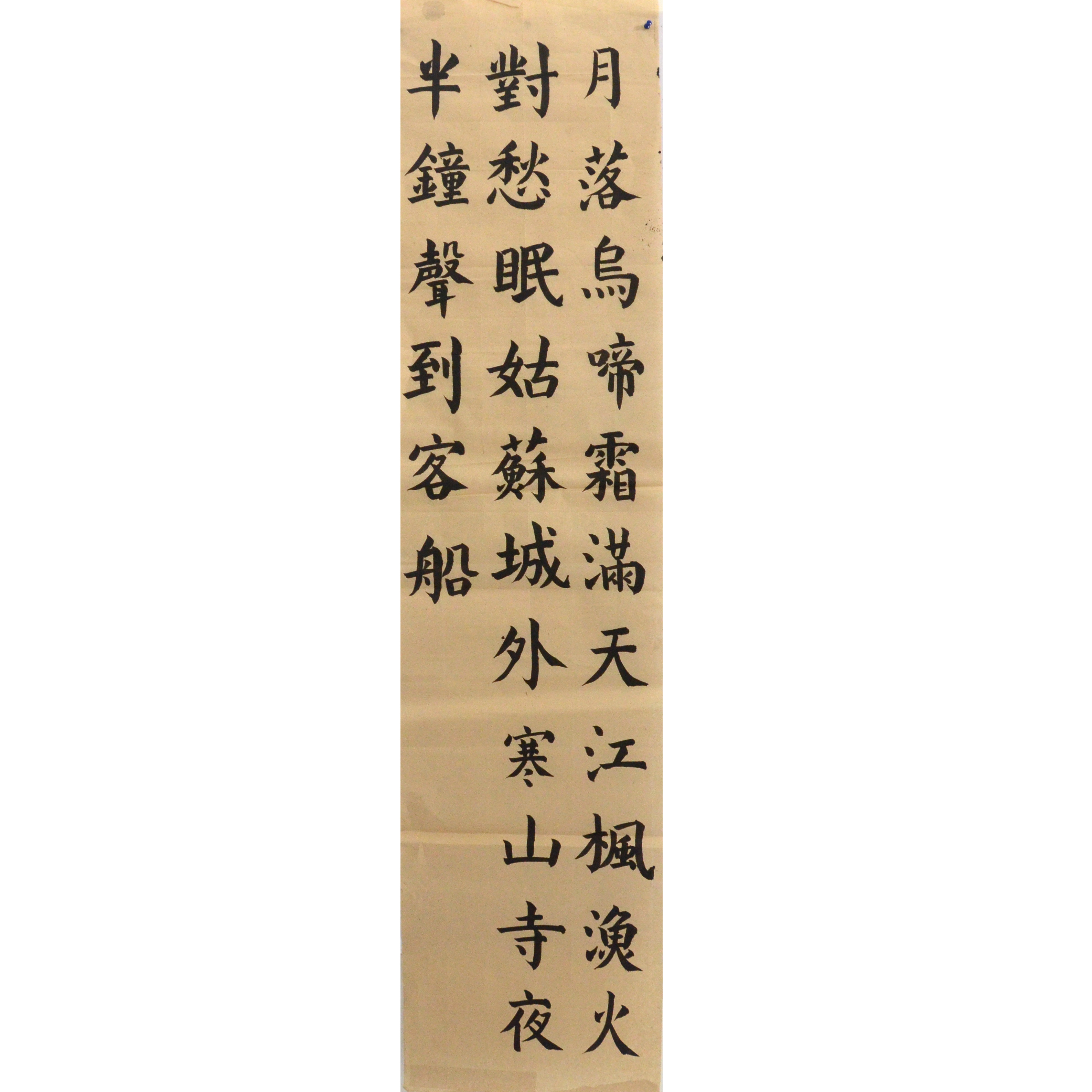 姓名：翟甜甜