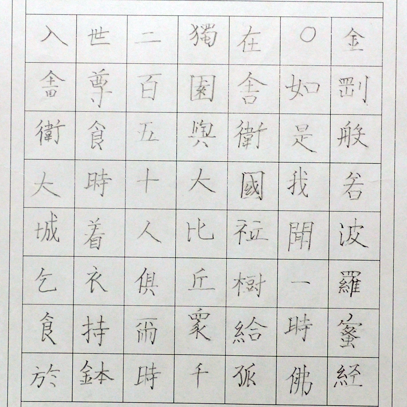 姓名：董依晨