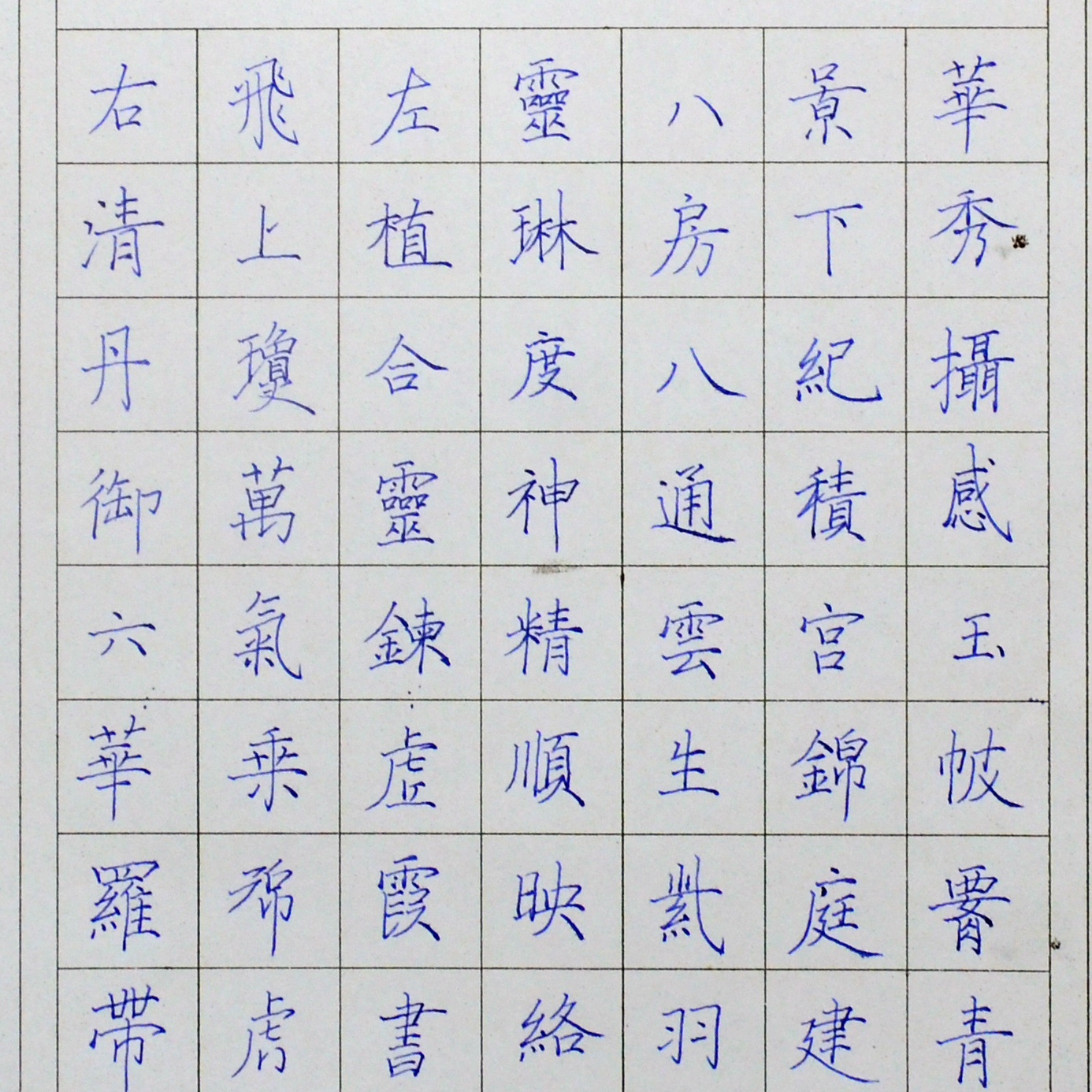 姓名：杨旭
