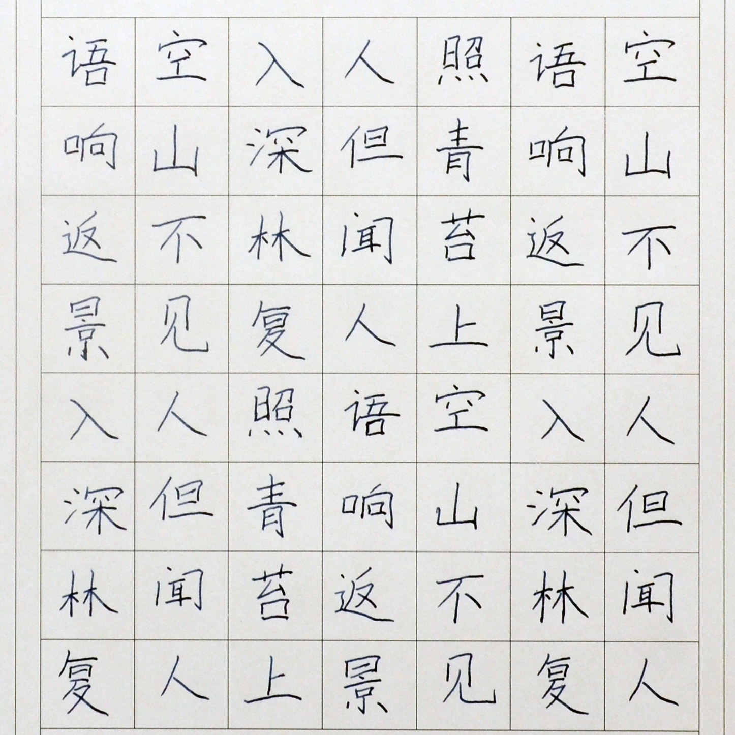 姓名：刘子璇