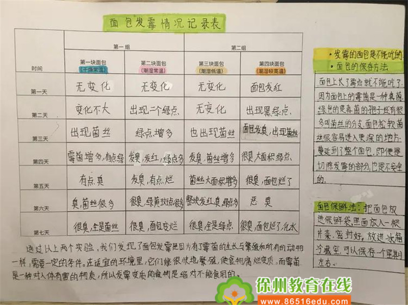 特殊的寒假,别样的收获——记求是小学四年级学生的创意活动课程